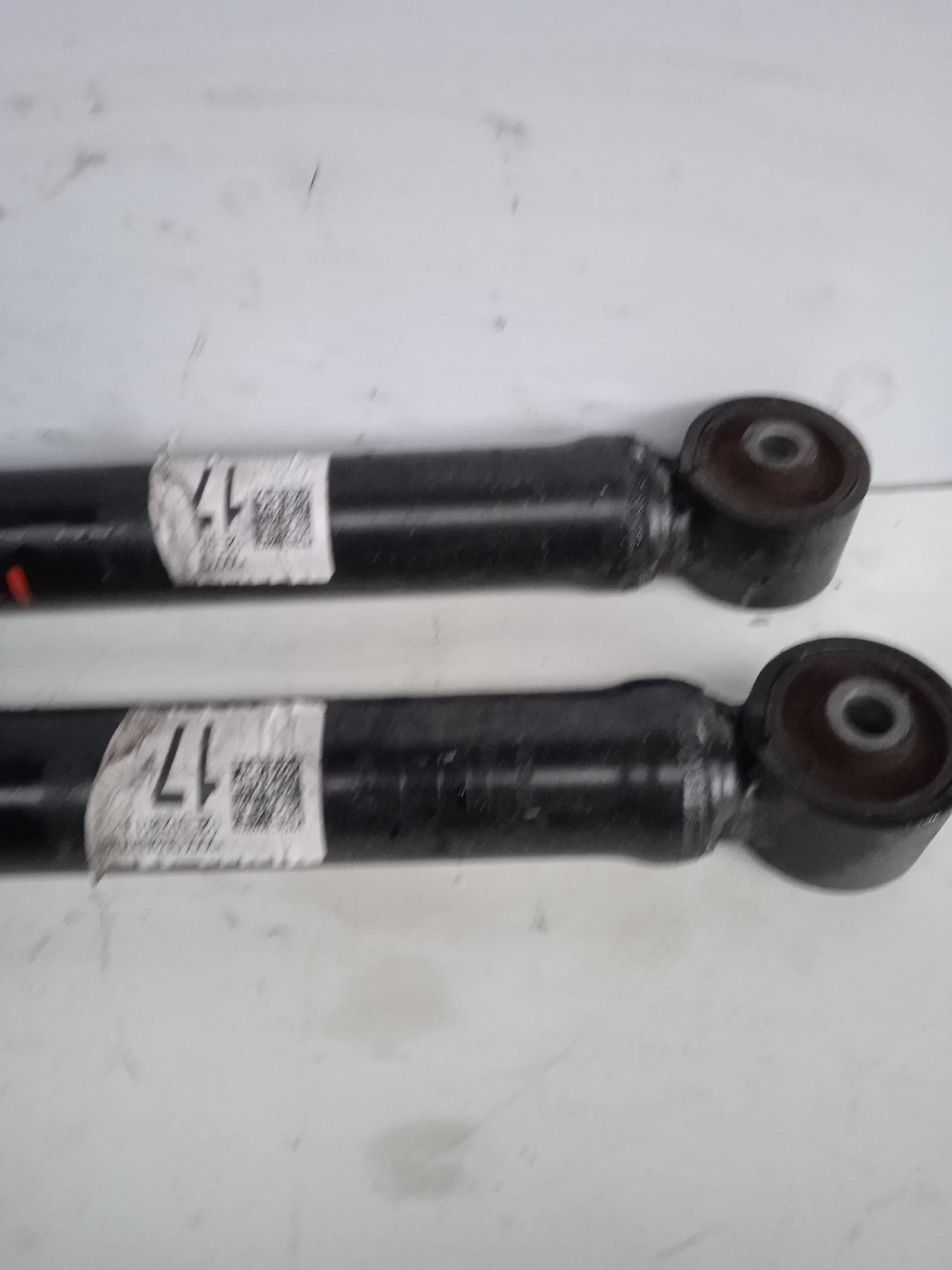 Ammortizzatore post. sx.